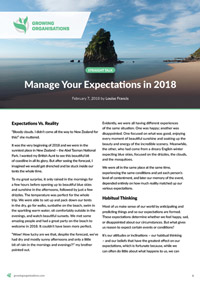 Manage Your Expectations in 2018